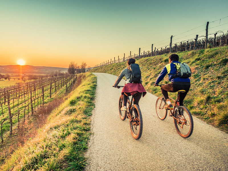 Radfahren bei Hitze hat einen großen Vorteil: Der Fahrtwind kühlt. So hältst du hohe Temperaturen besser aus.