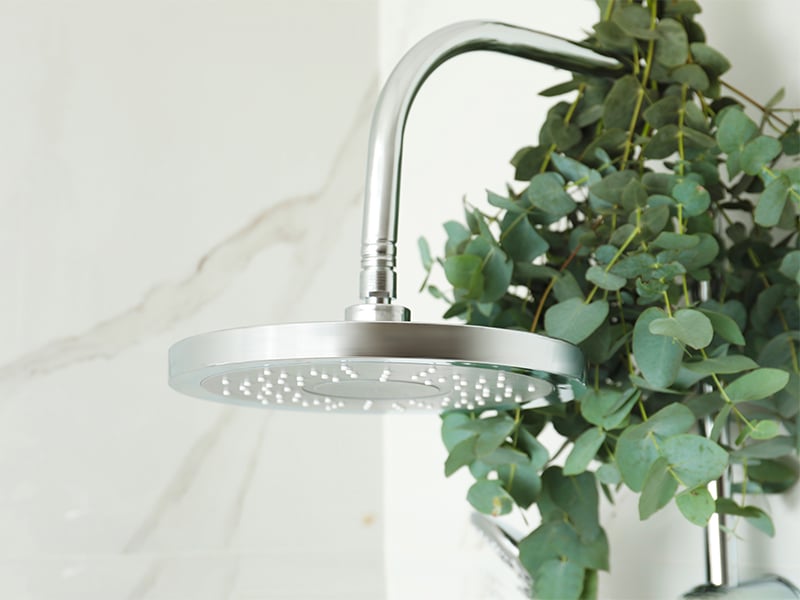 Auch die Dusche kann zum Spa-Erlebnis werden. Mach aus deiner Brause einfach eine Eucalyptus-Shower.