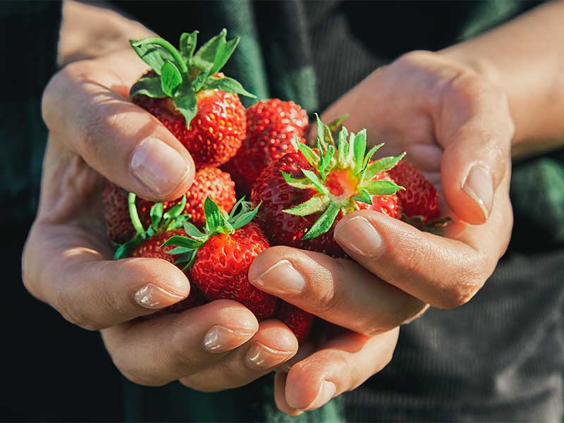 Was sind Antioxidantien? Die wichtigsten Antioxidantien, Ernährung vs. Supplements, Lebensmittel mit Antioxidantien, Tipps für antioxidative Ernährung + FAQ.
