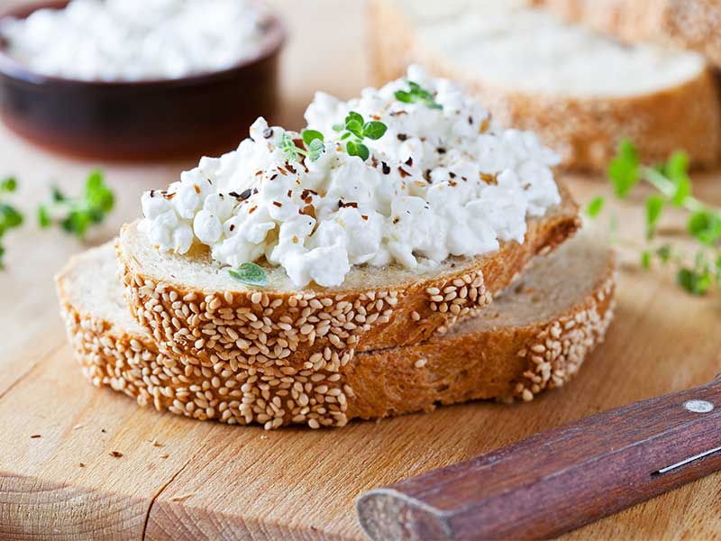 Micro Greens auf Frischkäsebrot