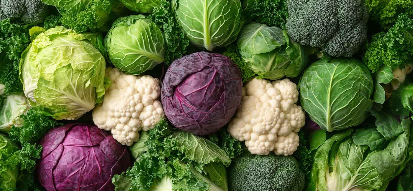 magazin-artikel-superfood-blumenkohl-header.jpg