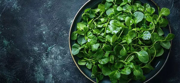 Wie gesund ist Brunnenkresse? Rezepte & Tipps 