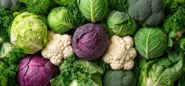 Blumenkohl: Gesundes Power-Gemüse + Rezept-Ideen