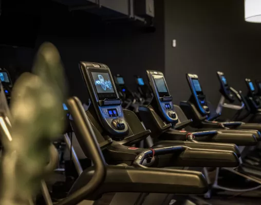 Fitness First Dresden – Cardiotraining