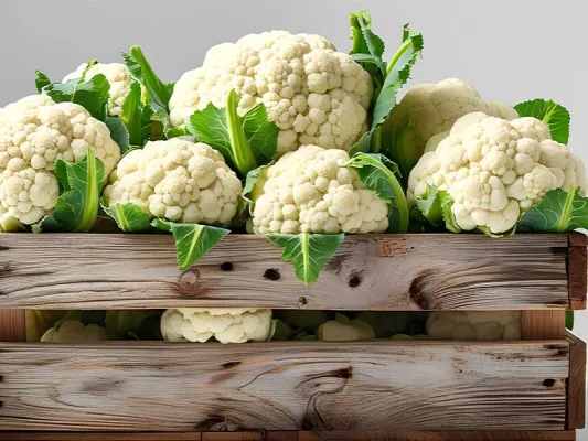 Gesundheitliche Vorteile von Blumenkohl, Brokkoli vs. Blumenkohl, Nährwerte, Zubereitung, Rezepte & FAQ.